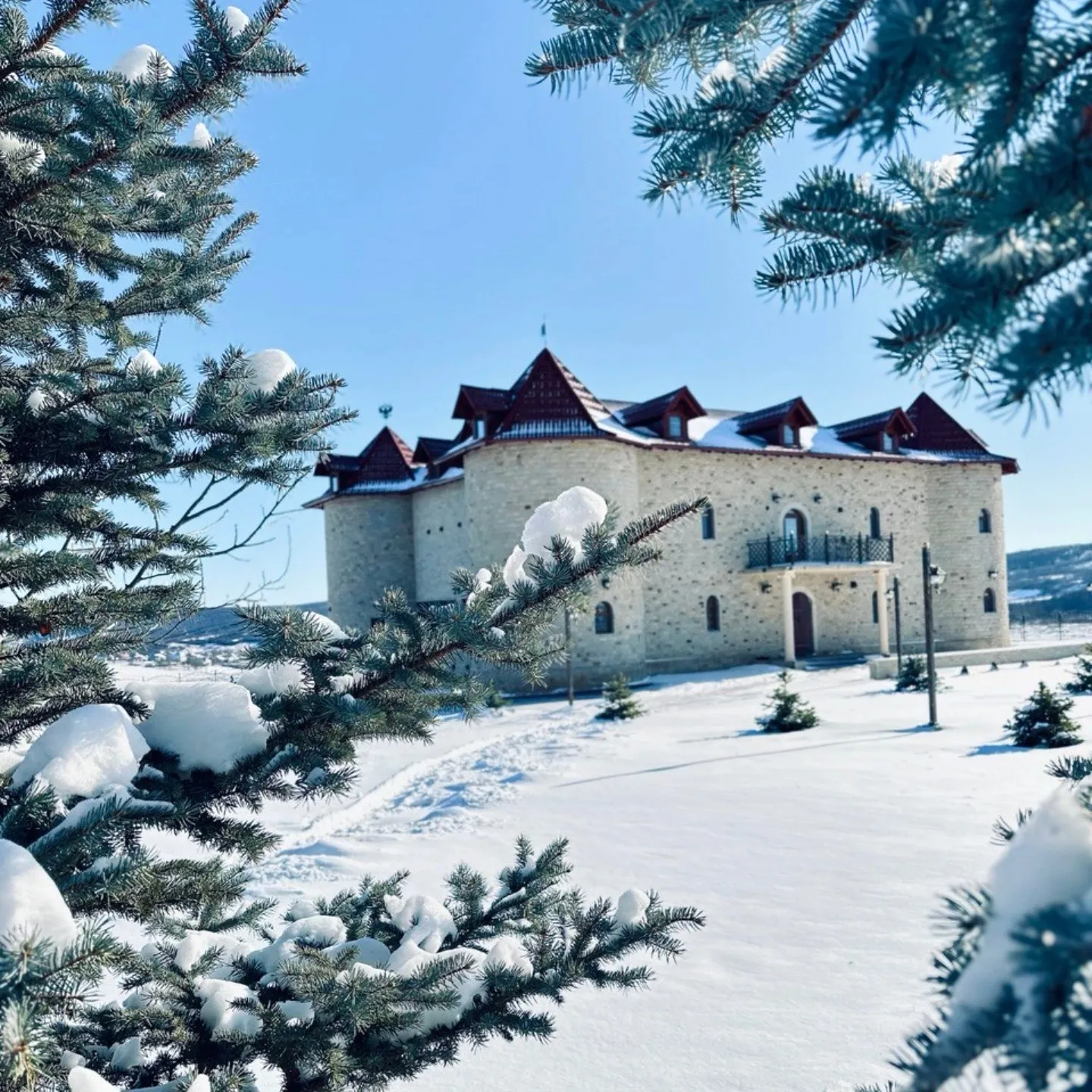 Unghern Castle Gallery 9
